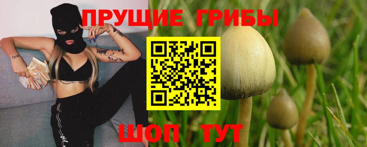 Псилоцибиновые грибы прущие грибы  Галлюциногенные грибы мухоморы  Вход с VPN  Бердск 